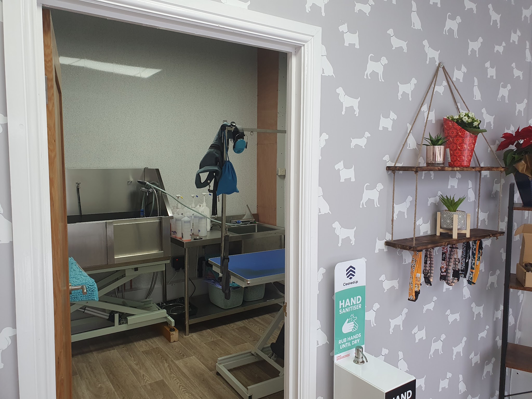 Inside the salon, with dog-patterned walls and grooming area
